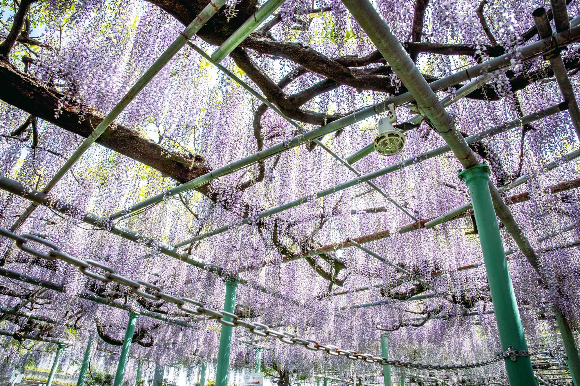 大分で撮影した風景写真